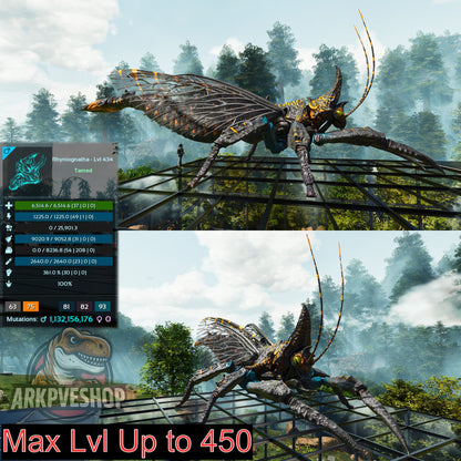 Buy Rhyniognatha / Rhynio Various Colours and Stats