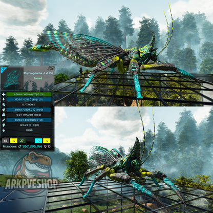 Buy Rhyniognatha / Rhynio Various Colours and Stats