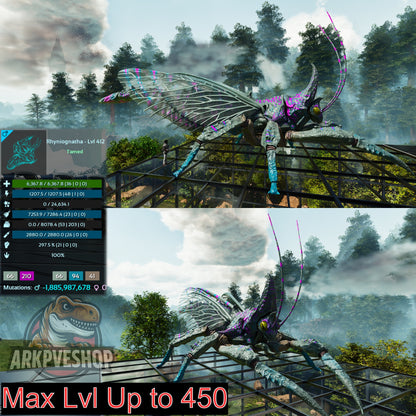 Buy Rhyniognatha / Rhynio Various Colours and Stats