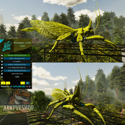 Buy Rhyniognatha / Rhynio Various Colours and Stats