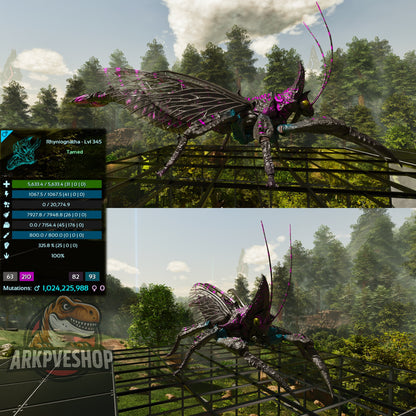 Buy Rhyniognatha / Rhynio Various Colours and Stats