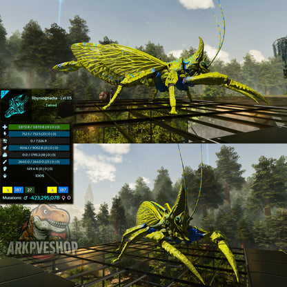 Buy Rhyniognatha / Rhynio Various Colours and Stats