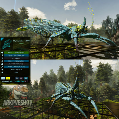 Buy Rhyniognatha / Rhynio Various Colours and Stats