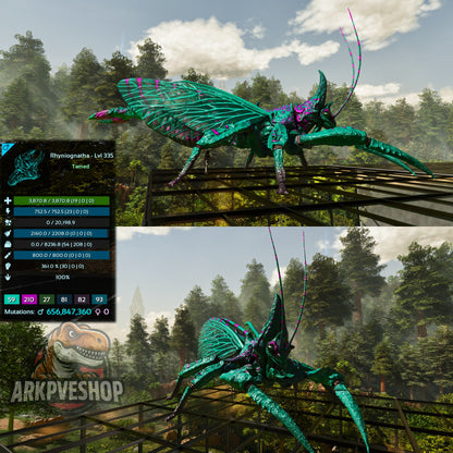 Buy Rhyniognatha / Rhynio Various Colours and Stats
