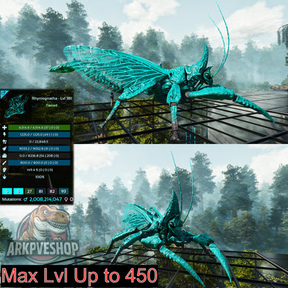 Buy Rhyniognatha / Rhynio Various Colours and Stats