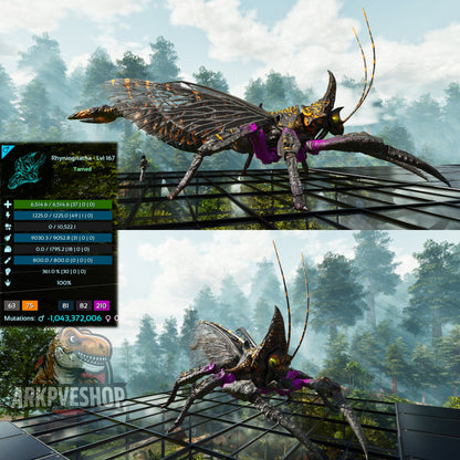 Buy Rhyniognatha / Rhynio Various Colours and Stats