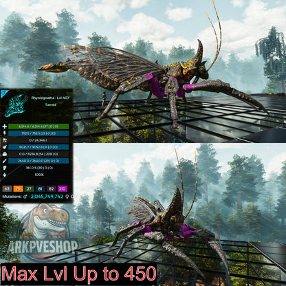 Buy Rhyniognatha / Rhynio Various Colours and Stats