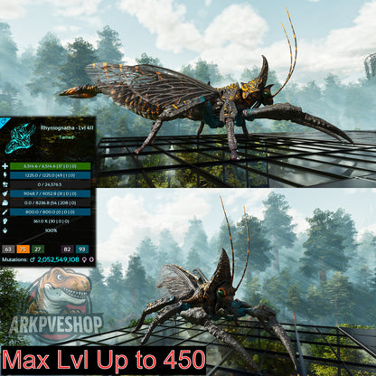 Buy Rhyniognatha / Rhynio Various Colours and Stats