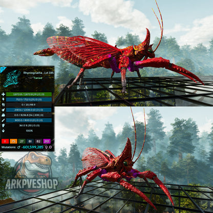 Buy Rhyniognatha / Rhynio Various Colours and Stats