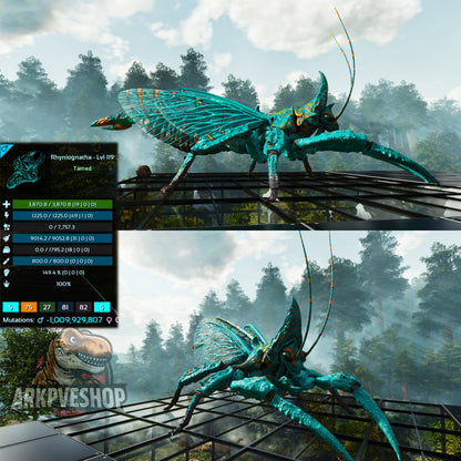 Buy Rhyniognatha / Rhynio Various Colours and Stats