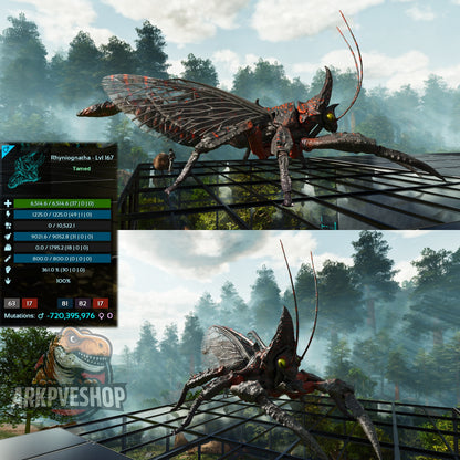 Buy Rhyniognatha / Rhynio Various Colours and Stats