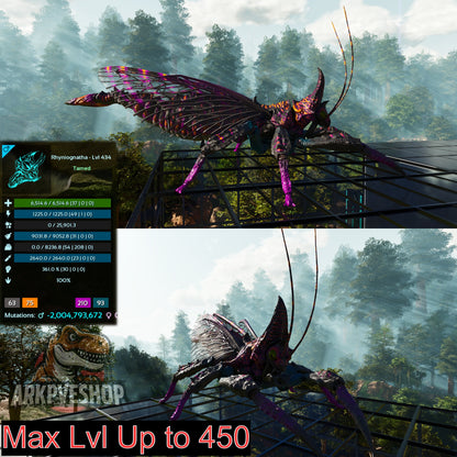 Buy Rhyniognatha / Rhynio Various Colours and Stats