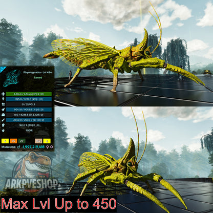 Buy Rhyniognatha / Rhynio Various Colours and Stats