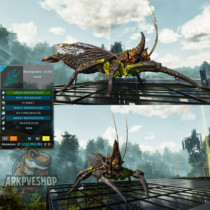Buy Rhyniognatha / Rhynio Various Colours and Stats