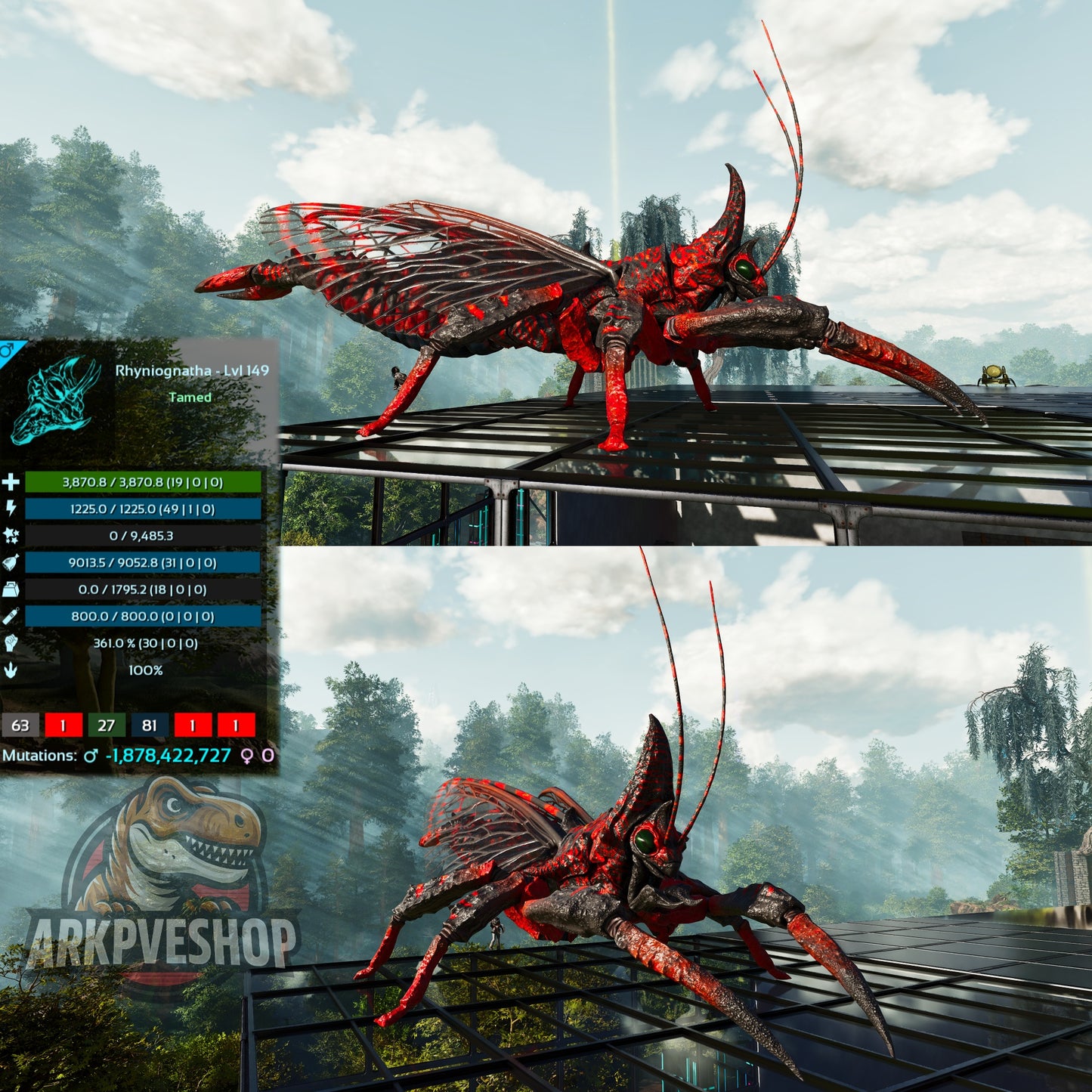 Buy Rhyniognatha / Rhynio Various Colours and Stats