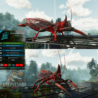 Buy Rhyniognatha / Rhynio Various Colours and Stats