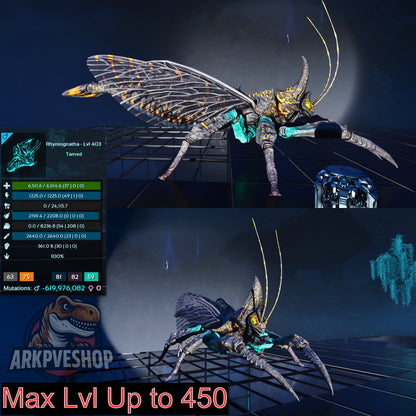 Buy Rhyniognatha / Rhynio Various Colours and Stats