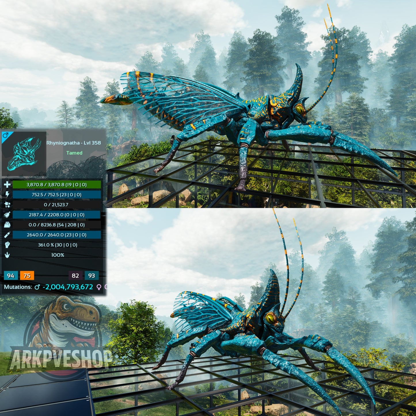 Buy Rhyniognatha / Rhynio Various Colours and Stats