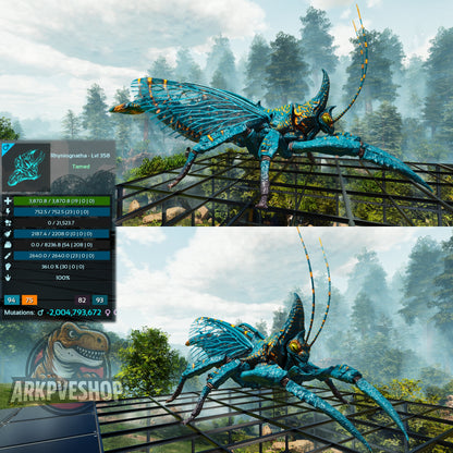 Buy Rhyniognatha / Rhynio Various Colours and Stats
