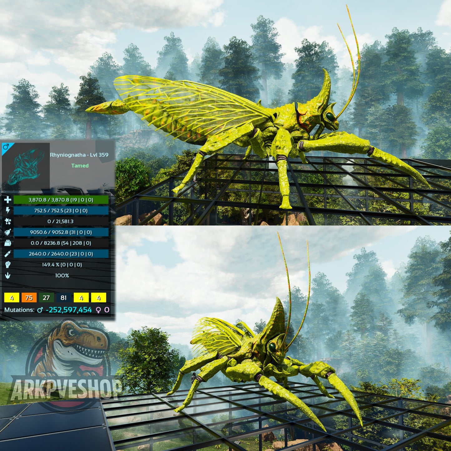 Buy Rhyniognatha / Rhynio Various Colours and Stats