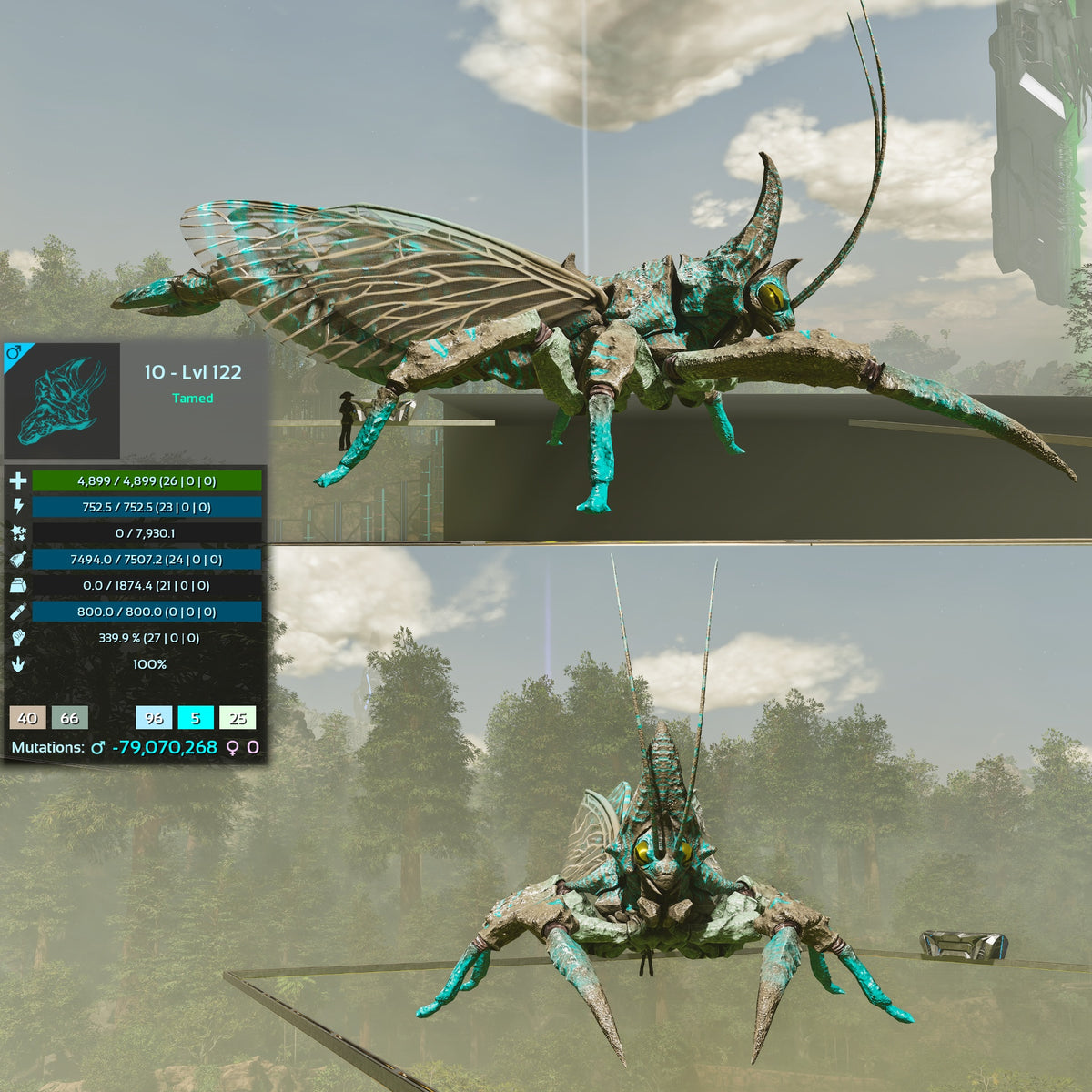Rhyniognatha Rhynio High&Low Lvls
