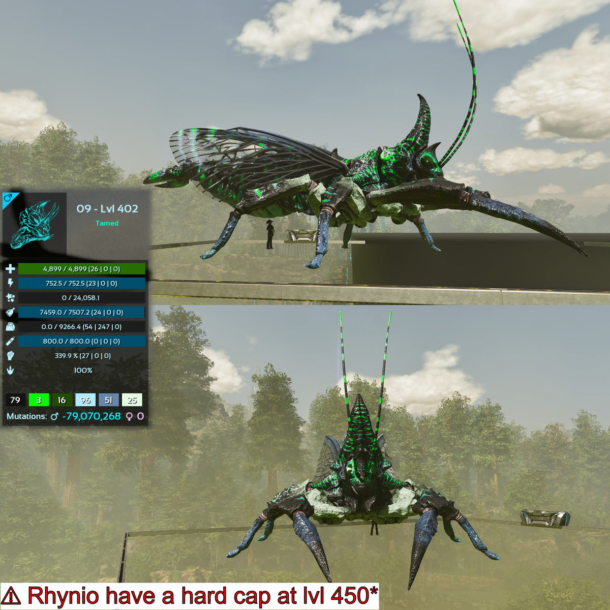 Rhyniognatha Rhynio High&Low Lvls