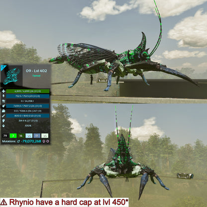 Rhyniognatha Rhynio High&Low Lvls