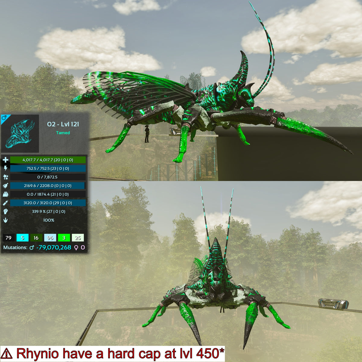 Rhyniognatha Rhynio High&Low Lvls