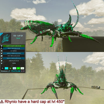 Rhyniognatha Rhynio High&Low Lvls