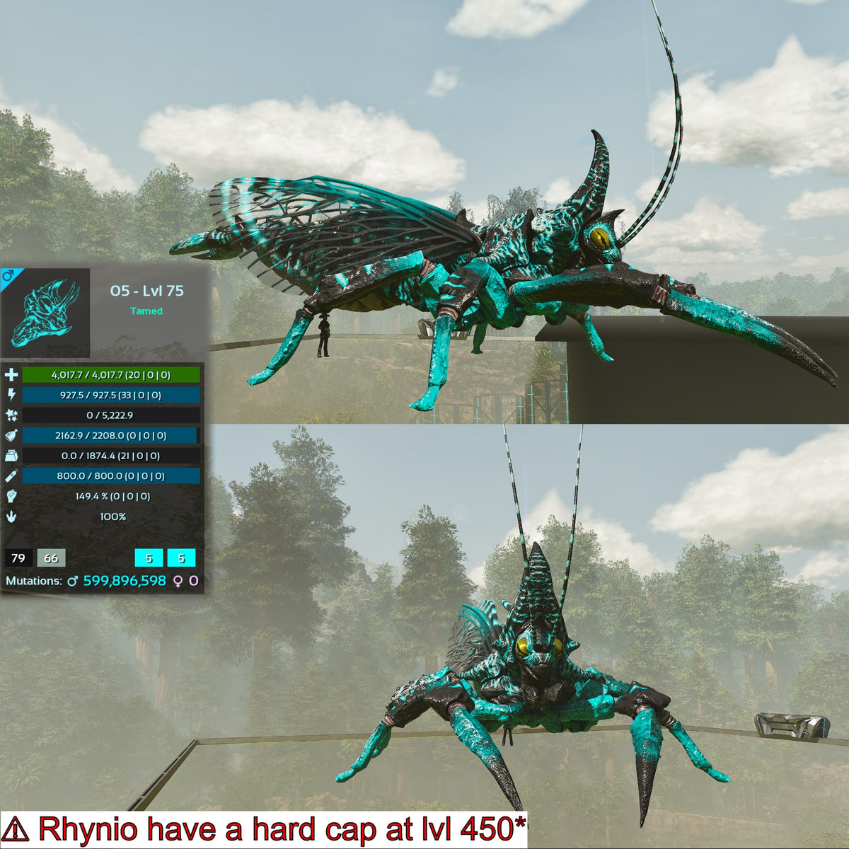 Rhyniognatha Rhynio High&Low Lvls