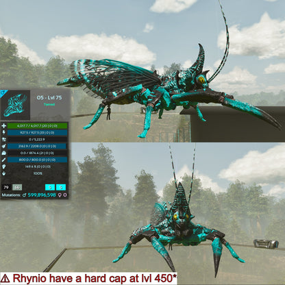 Rhyniognatha Rhynio High&Low Lvls