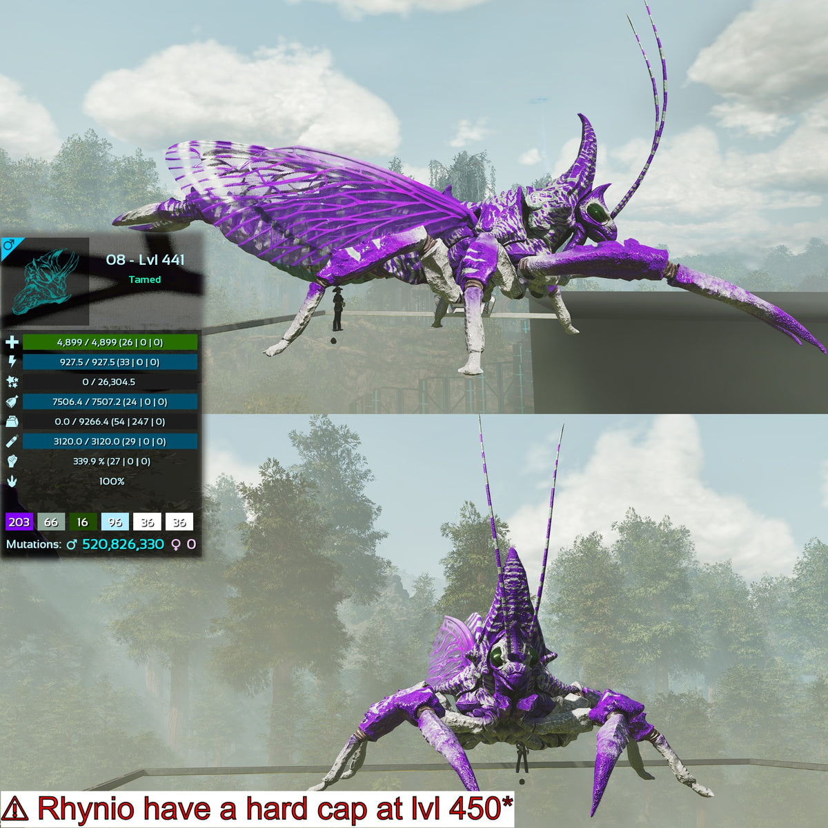 Rhyniognatha Rhynio High&Low Lvls