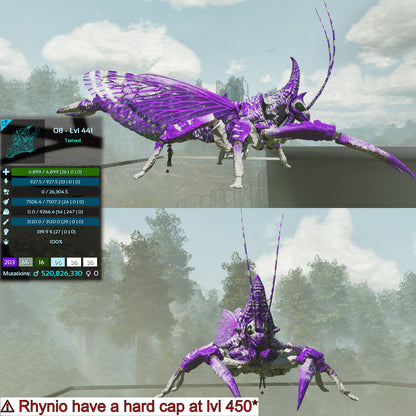 Rhyniognatha Rhynio High&Low Lvls