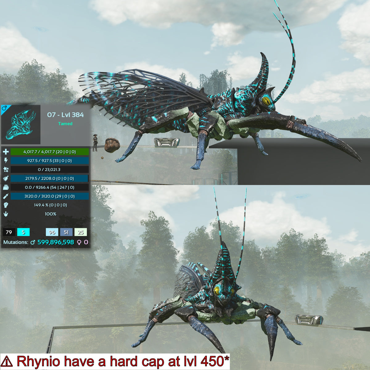 Rhyniognatha Rhynio High&Low Lvls