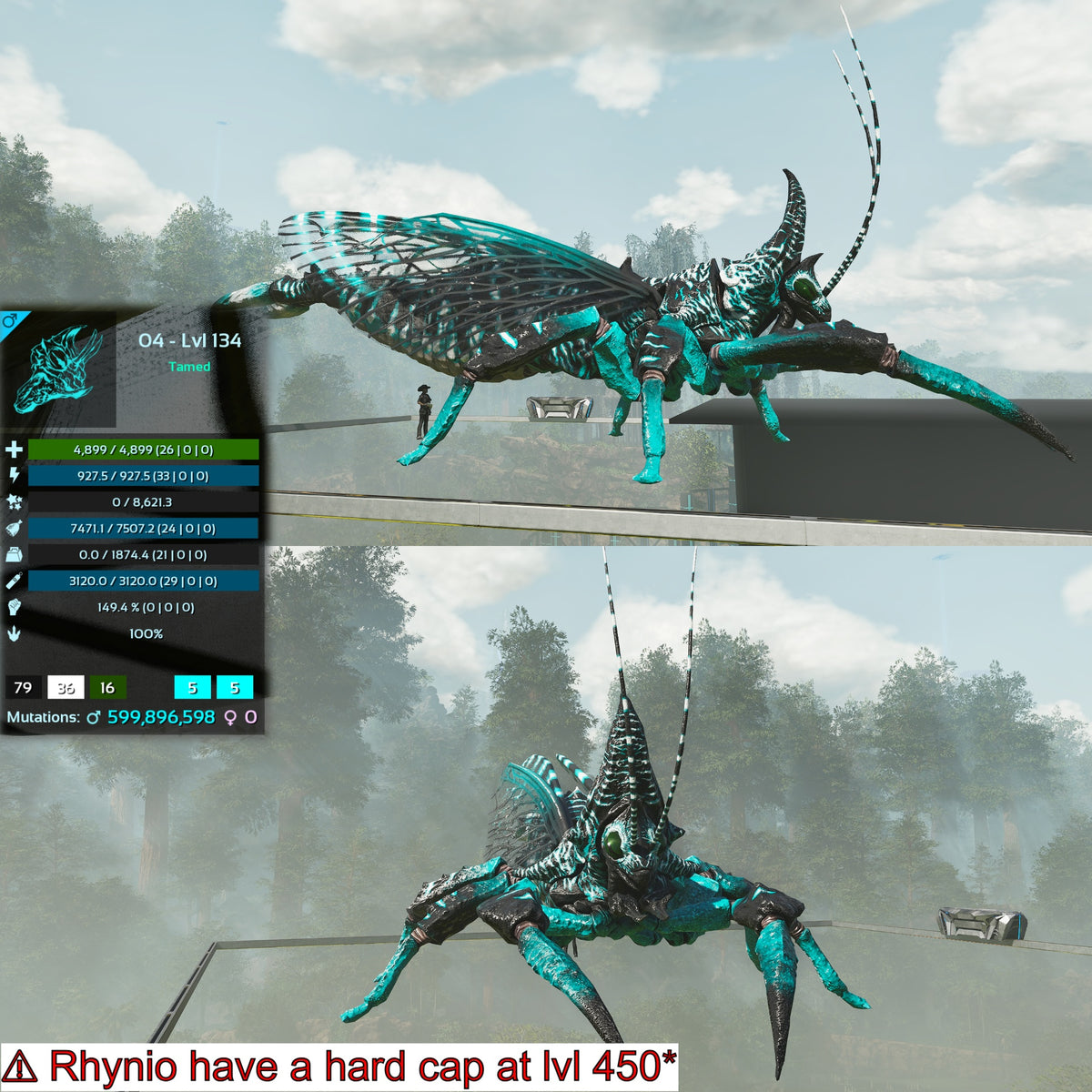 Rhyniognatha Rhynio High&Low Lvls