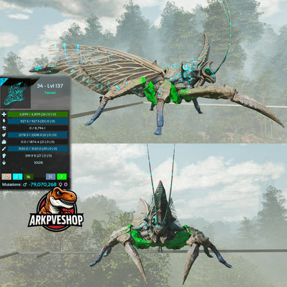 Rhyniognatha Rhynio High&Low Lvls