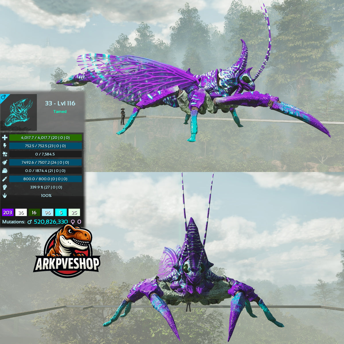 Rhyniognatha Rhynio High&Low Lvls