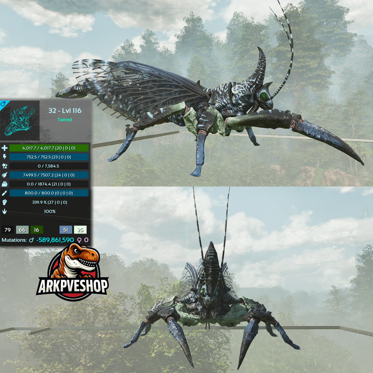 Rhyniognatha Rhynio High&Low Lvls