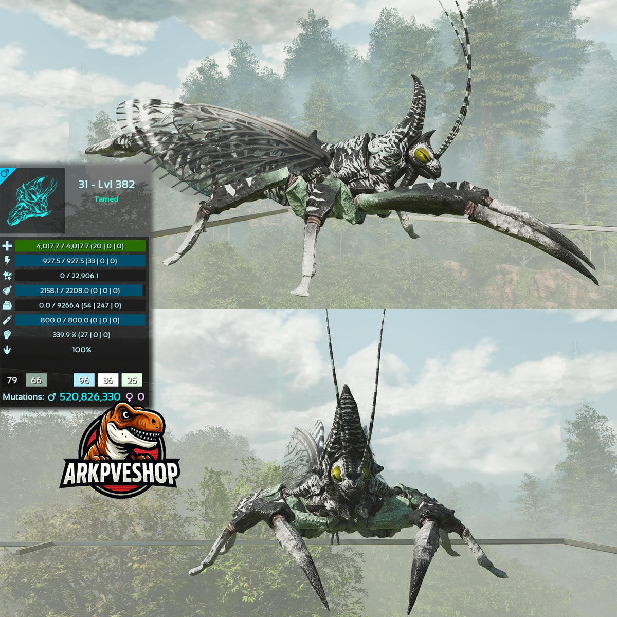 Rhyniognatha Rhynio High&Low Lvls