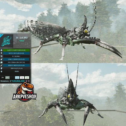 Rhyniognatha Rhynio High&Low Lvls