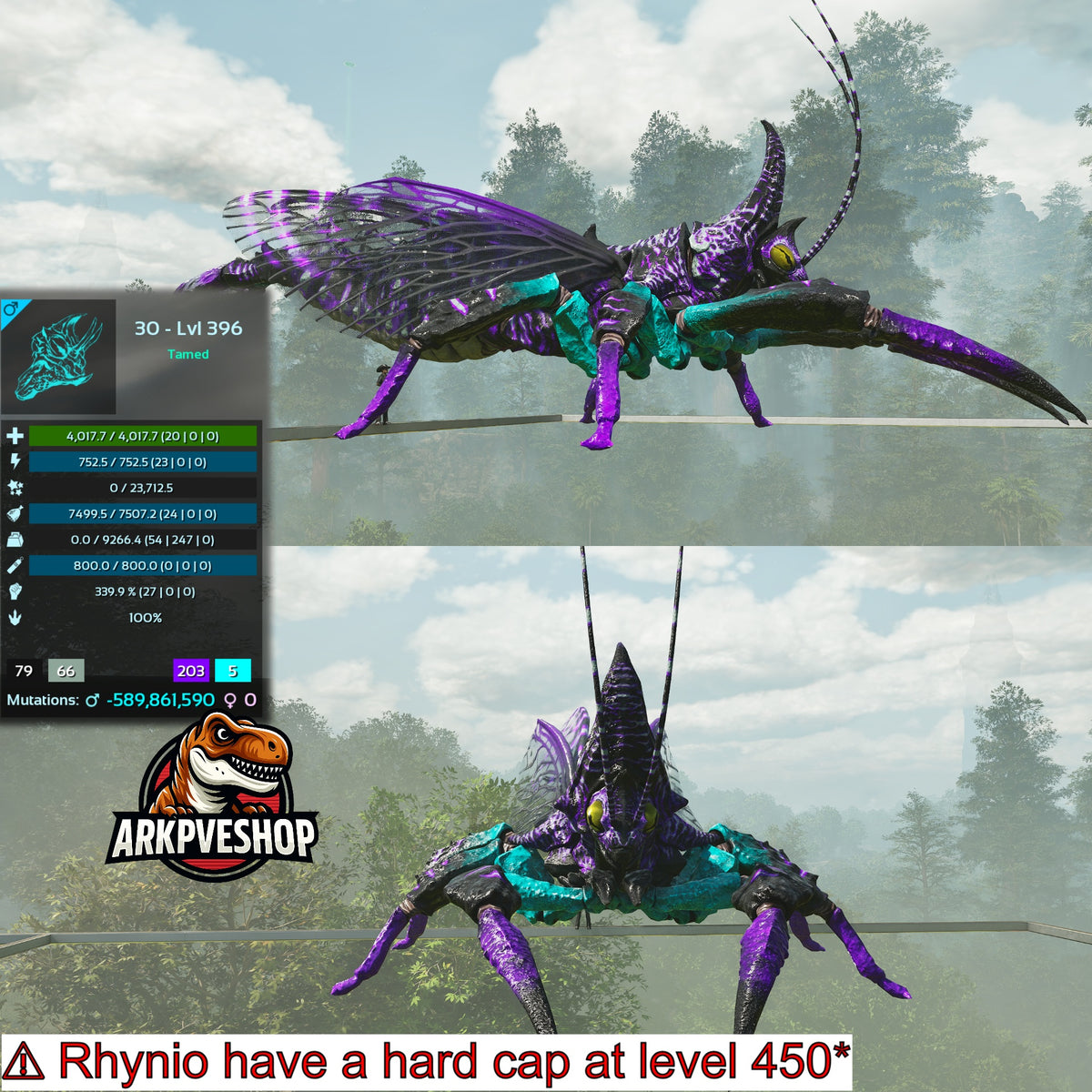 Rhyniognatha Rhynio High&Low Lvls