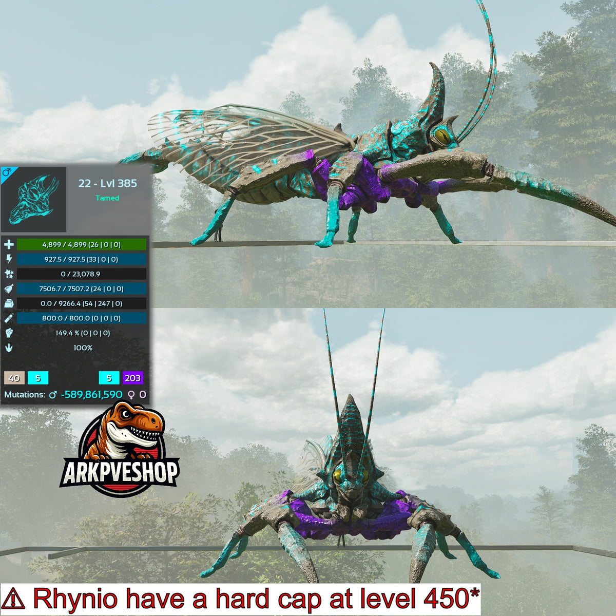 Rhyniognatha Rhynio High&Low Lvls