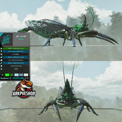 Rhyniognatha Rhynio High&Low Lvls