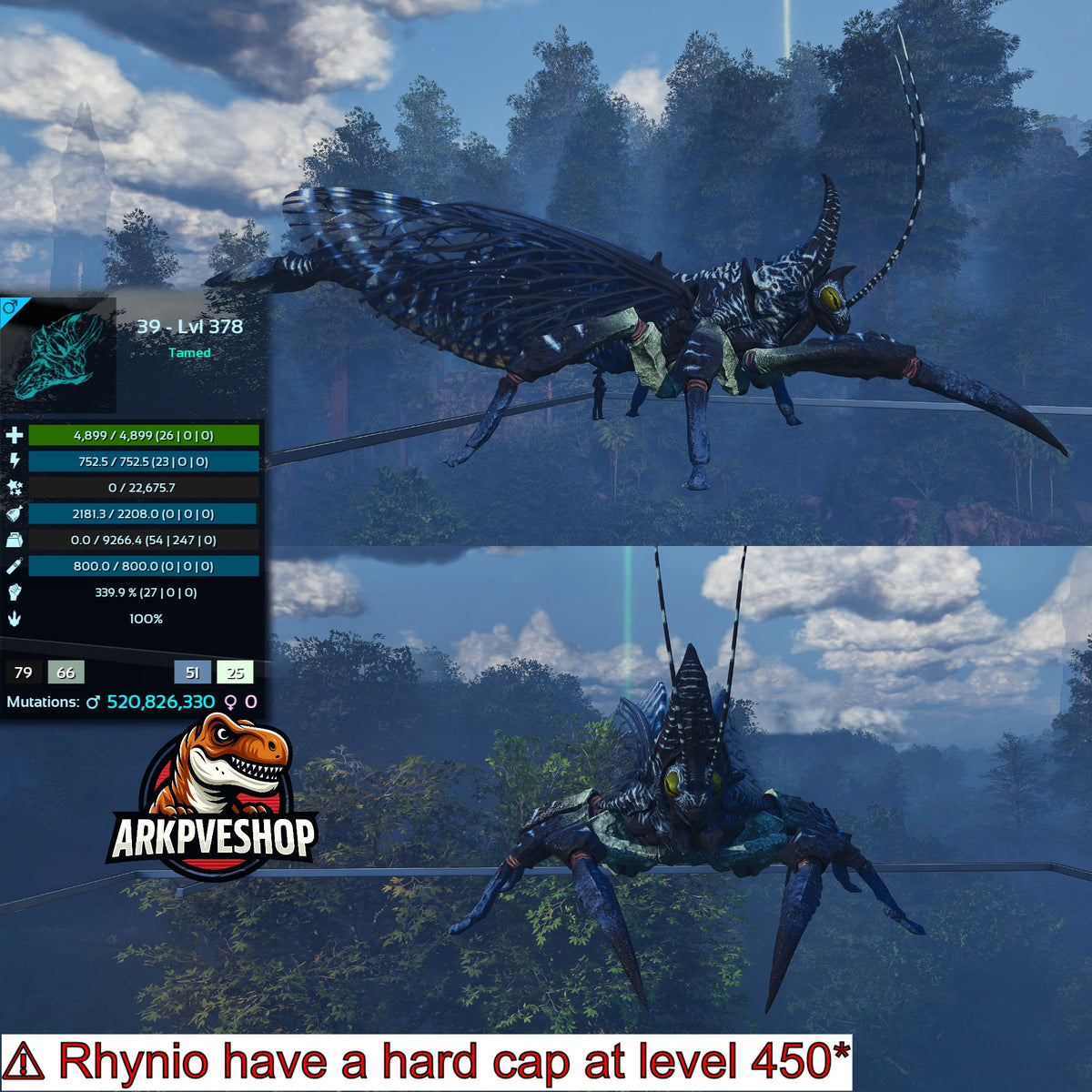 Rhyniognatha Rhynio High&Low Lvls