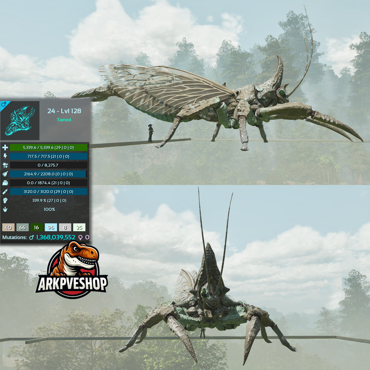 Rhyniognatha Rhynio High&Low Lvls