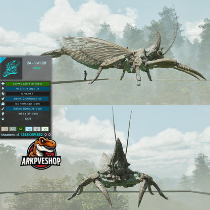 Rhyniognatha Rhynio High&Low Lvls