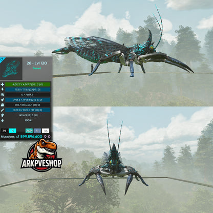 Rhyniognatha Rhynio High&Low Lvls