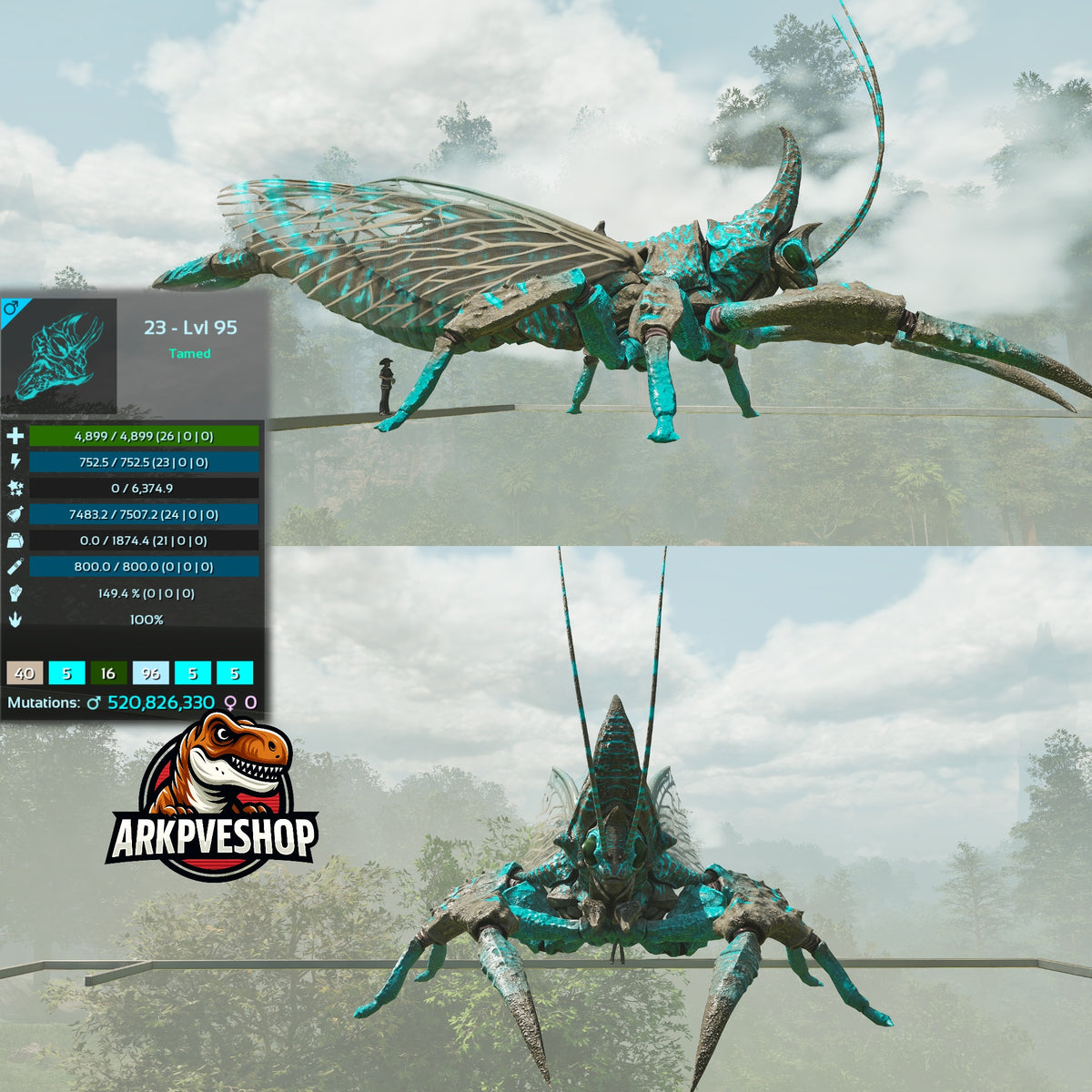 Rhyniognatha Rhynio High&Low Lvls