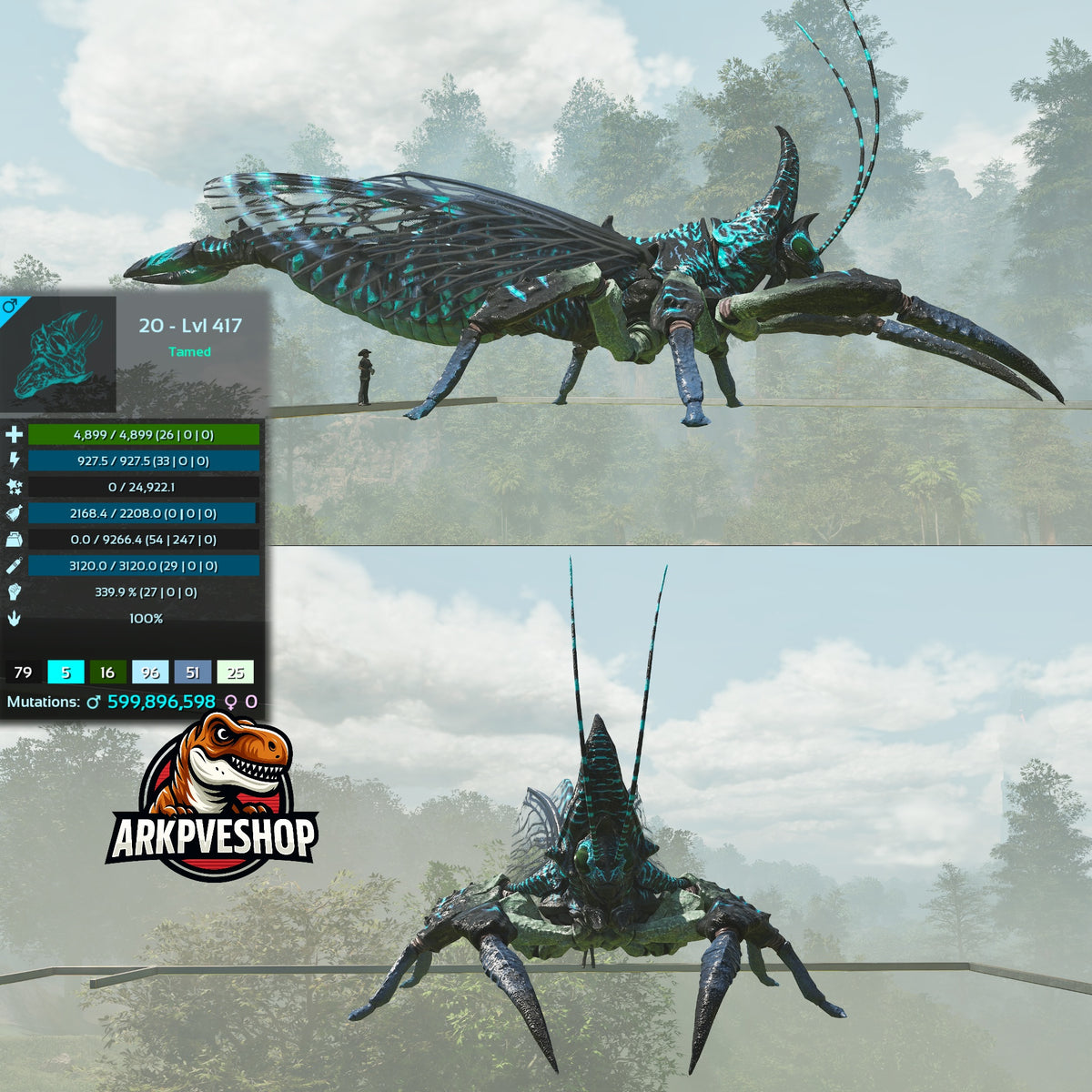 Rhyniognatha Rhynio High&Low Lvls