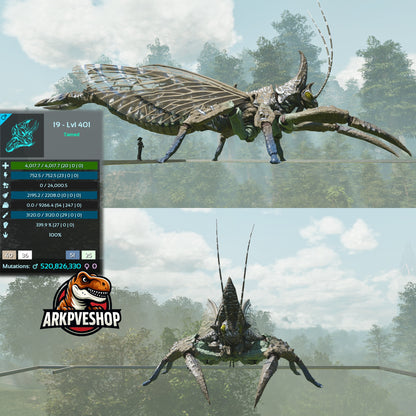 Rhyniognatha Rhynio High&Low Lvls